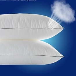 ALZ- Mikrofaser Gesundheits bequem reinweiß Bett Kissen / Bettdecke 20 "x 30" - 1