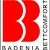 Badenia Bettcomfort 03772030115 Kissen Trendline Micro Kochfest 60 x 80 cm, weiß - 6