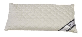 f.a.n. Frankenstolz 03880-11024-19 Dinkelkissen / Medisan Sleep & Care / 040 x 080 cm - 1